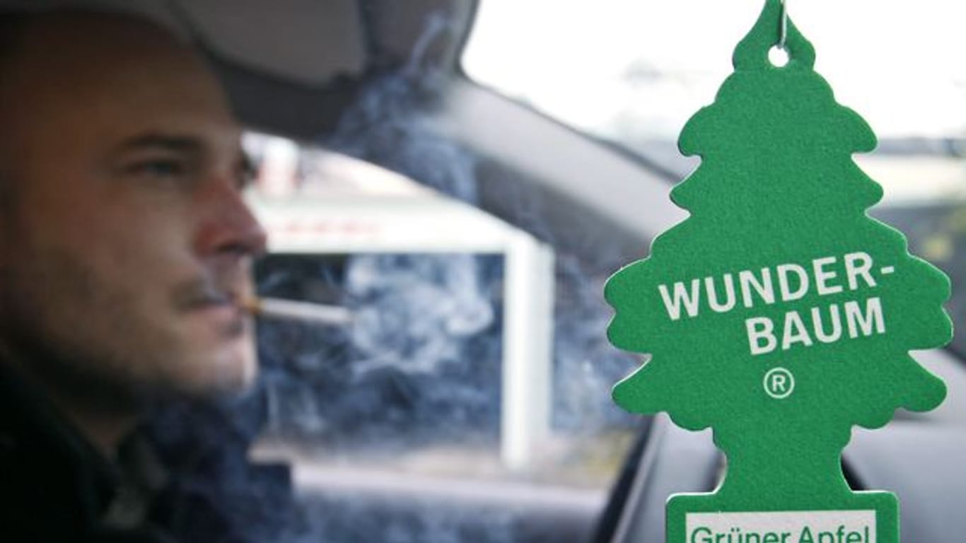 Ein Wunderbaum (Duftbaum) soll, während ein Mann raucht, in einem Auto die Luft verbessern.
