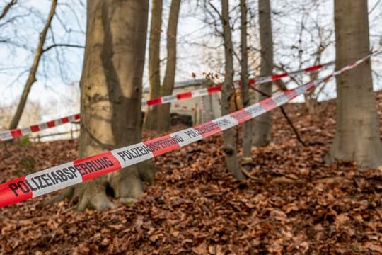 In diesem Wald bei Seevetal in Niedersachsen sind in einem Erddepot möglicherweise Hinterlassenschaften der linksterroristischen RAF gefunden worden.