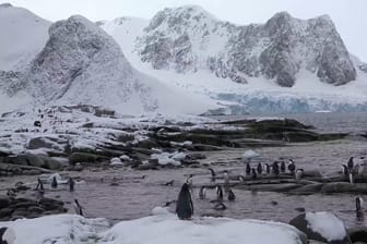 Die Antarktis: Hier gibt es nicht nur Pinguine, sondern auch Menschensiedlungen — eine davon wurde kurzzeitig evakuiert.