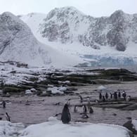 Die Antarktis: Hier gibt es nicht nur Pinguine, sondern auch Menschensiedlungen — eine davon wurde kurzzeitig evakuiert.