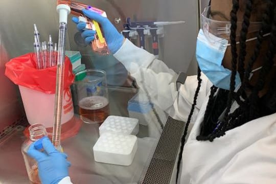 Adrienne Gilkes, Mitarbeiterin der US-Firma Regeneron, pipettiert Zellkulturmedien in einer mikrobiologischen Werkbank im Labor für Infektionskrankheiten.