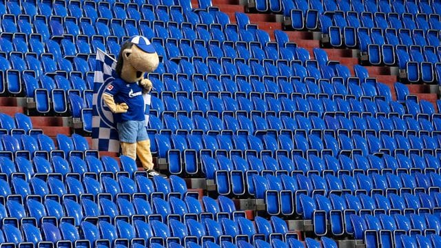 Auch Schalkes Maskottchen Erwin wirkte nach dem Schlusspfiff frustriert. Auch Schalkes Maskottchen Erwin wirkte nach dem Schlusspfiff frustriert.
