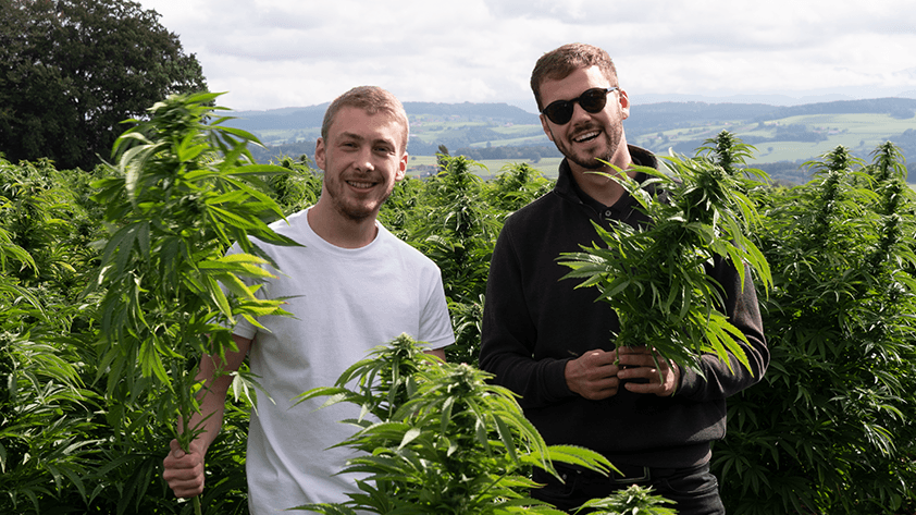 "Sanaleo"-Mitgründer Philipp Morkramer (links) und Paul Portius stehen in einem Hanffeld: Sie haben ihre Produzenten besucht, um die Qualität ihrer Produkte sicherzustellen. "Sanaleo"-Mitgründer Philipp Morkramer (links) und Paul Portius stehen in einem Hanffeld: Sie haben ihre Produzenten besucht, um die Qualität ihrer Produkte sicherzustellen.