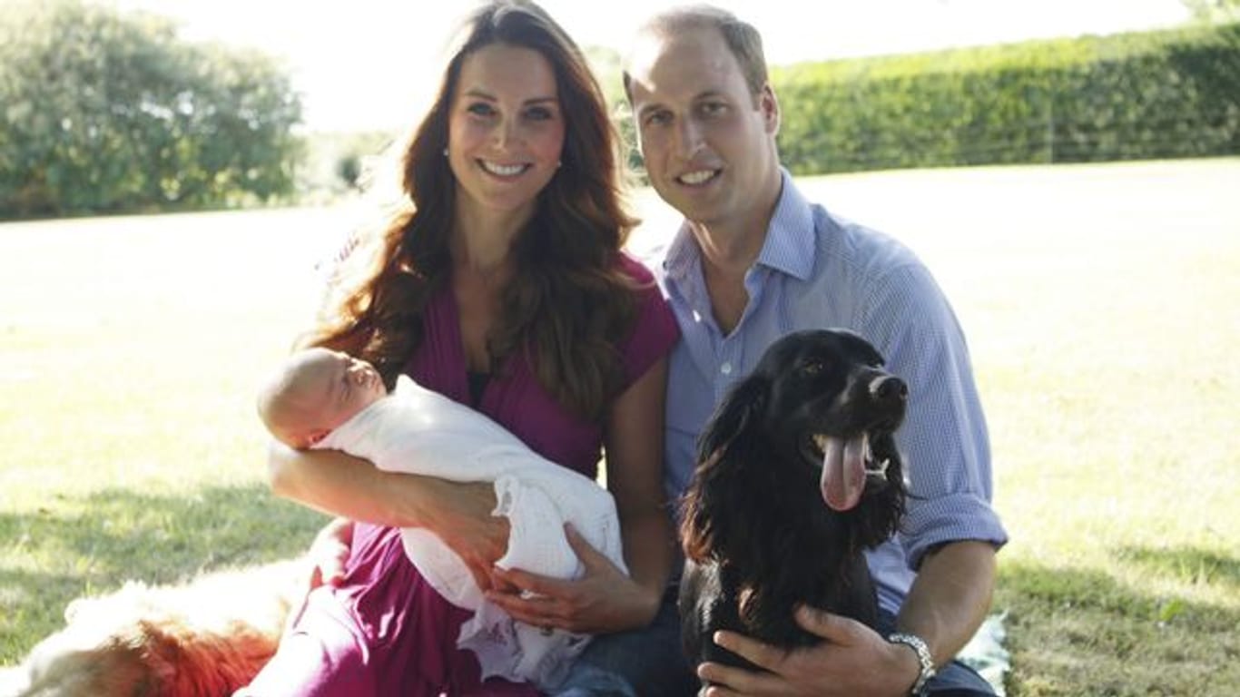 Prinz William und Herzogin Kate 2013 mit ihrem Sohn Prinz George umgeben von Retriever Tilly (l) und Cockerspaniel Lupo.