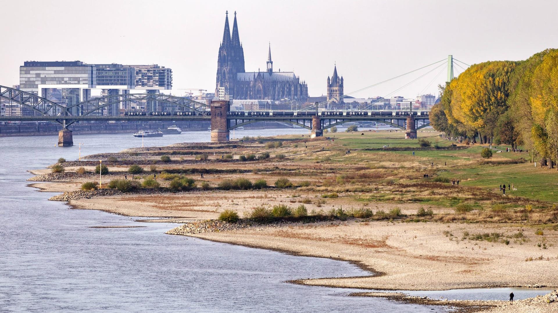 Extremes Niedrigwasser auf dem Rhein im Herbst 2018: Nach einem enorm trockenen Sommer war der Grundwasserpegel vielerorts bedenklich gefallen.