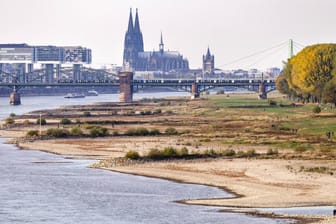 Extremes Niedrigwasser auf dem Rhein im Herbst 2018: Nach einem enorm trockenen Sommer war der Grundwasserpegel vielerorts bedenklich gefallen.
