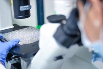Untersuchung im Labor: Mehr als 13.000 Neuinfektionen sind in Deutschland registriert worden.