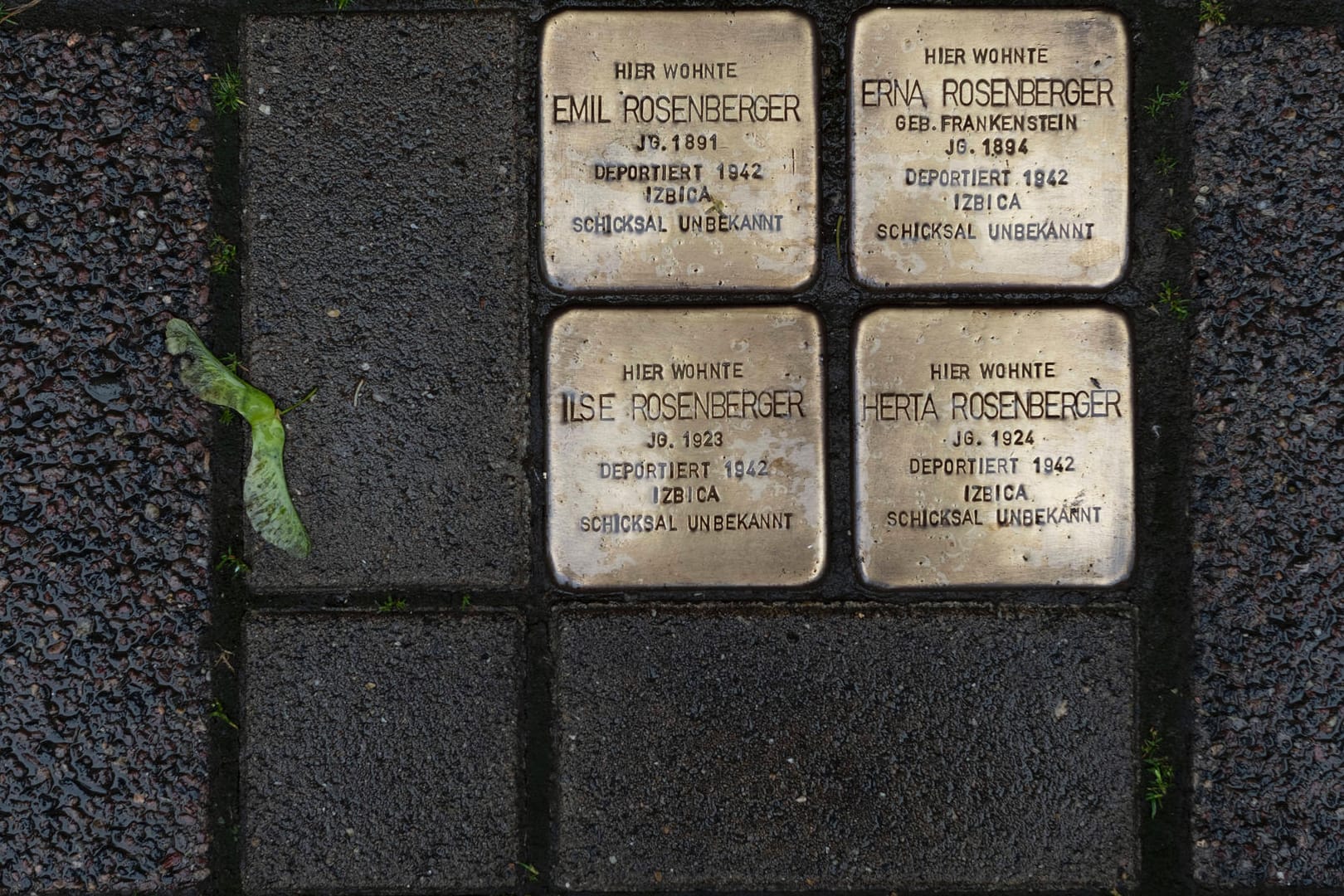 Stolpersteine in Karlsruhe (Symbolbild): Auf einer interaktiven Karte der Stadt sind 40 Erinnerungsorte verzeichnet.