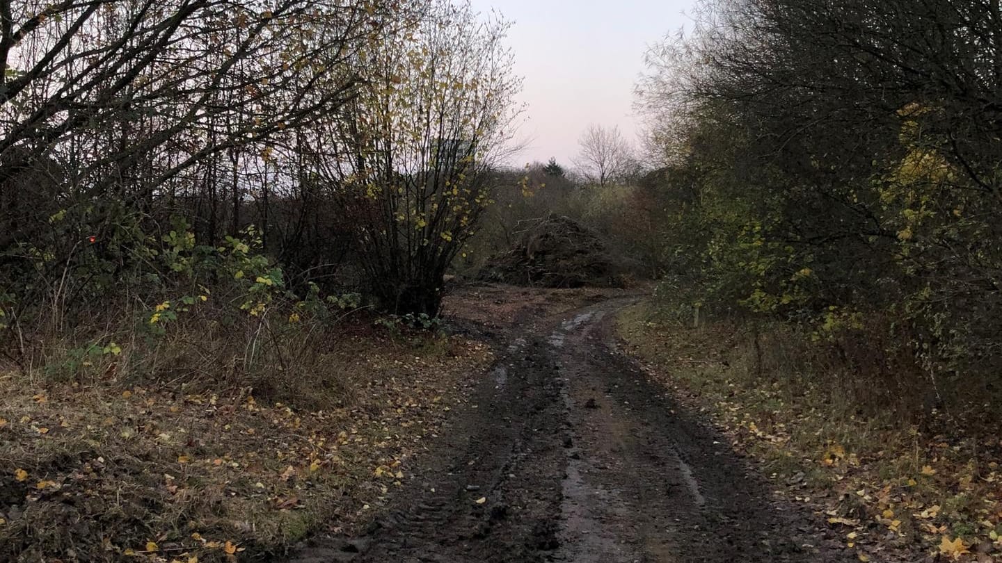 Das Gelände am Westring: Hier soll das Möbelhaus gebaut werden.