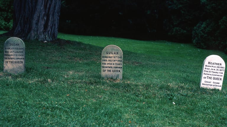 Gelände von Sandringham, Norfolk: Die Gräber der Corgis Susan, Sugar und Heather.