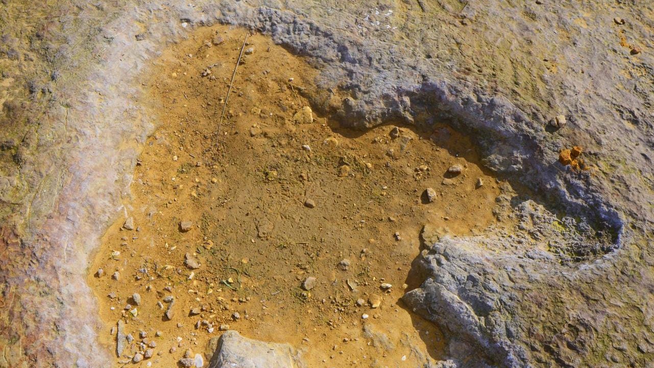 Versteinerter Fussabdruck eines Dinosaurierers im Obernkirchener Sandsteinbruch. Eine Vierjährige hat jetzt einen besonders gut erhaltenen Abdruck in Wales gefunden. Versteinerter Fussabdruck eines Dinosaurierers im Obernkirchener Sandsteinbruch. Eine Vierjährige hat jetzt einen besonders gut erhaltenen Abdruck in Wales gefunden.