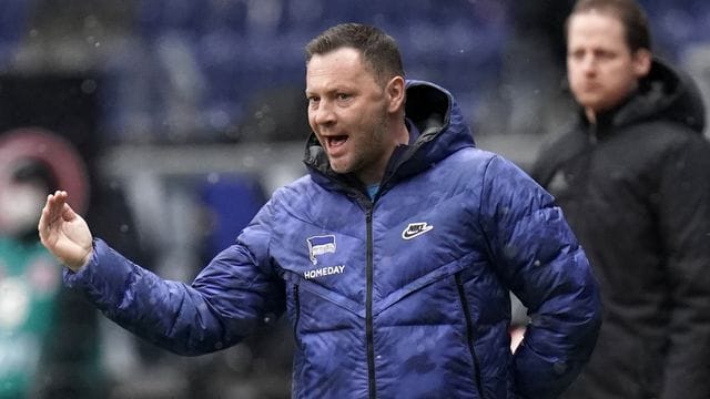 Ist zurück auf der Hertha-Bank: Pal Dardai.