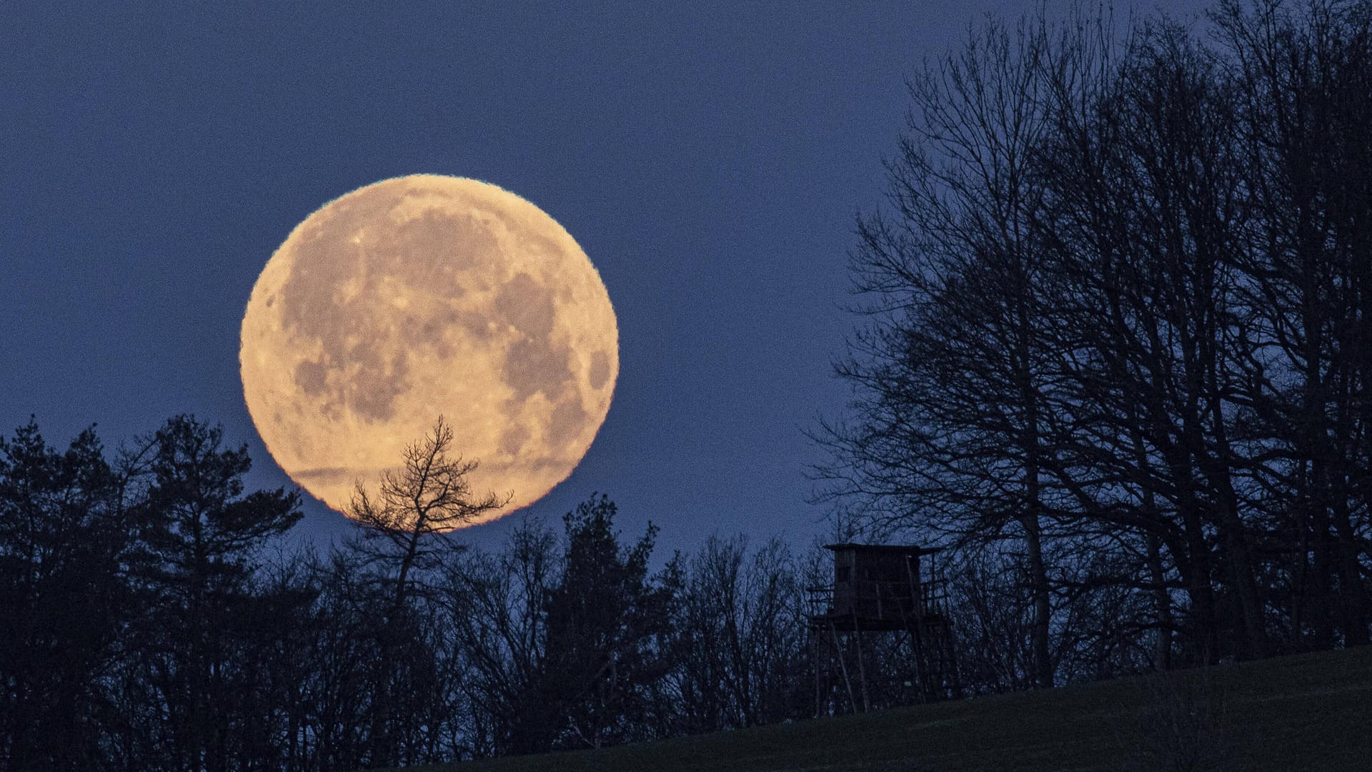 Vollmond: Dem Planeten werden viele Einflüsse auf unser Leben nachgesagt.