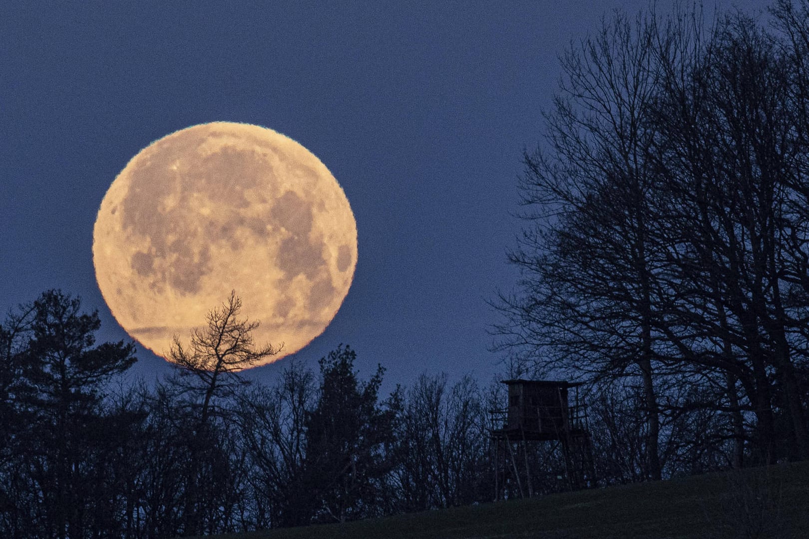 Vollmond: Dem Planeten werden viele Einflüsse auf unser Leben nachgesagt.