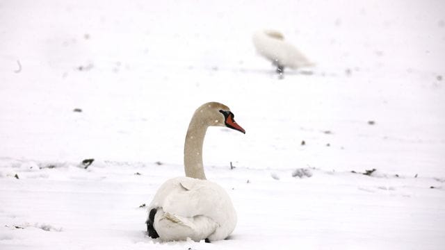 Winter in Thüringen