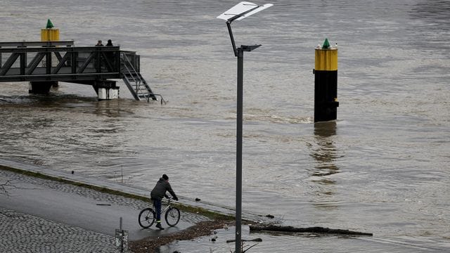 Ein Radfahrer steht am Kölner Rheinufer.