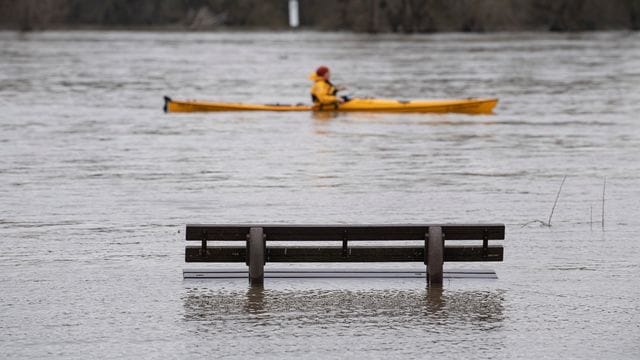 Hochwasser am Rhein Hochwasser am Rhein