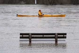 Hochwasser am Rhein