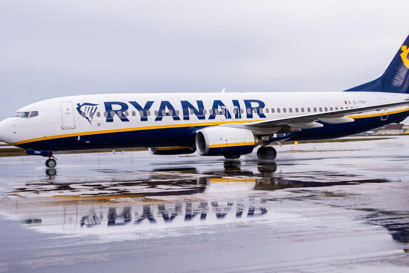 Ryanair-Maschine auf dem Flughafen Frankfurt: Die Billigfluglinie dürfte im ablaufenden Geschäftsjahr einen historischen Verlust einfliegen.