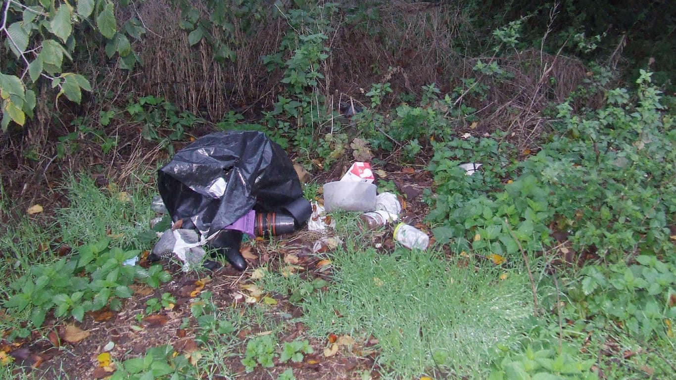 Müll in einer Grünanlage: Die Leipziger Stadtreinigung bekommt täglich 33 Hinweise zu illegalen Müllablagerungen.