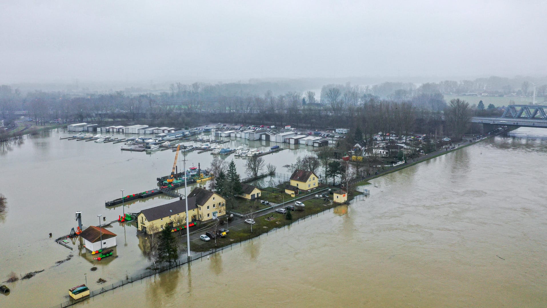 Luftbild vom Hochwasser am Rheinhafen: Bei Karlsruhe mussten Rehe vor den Fluten befreit werden.