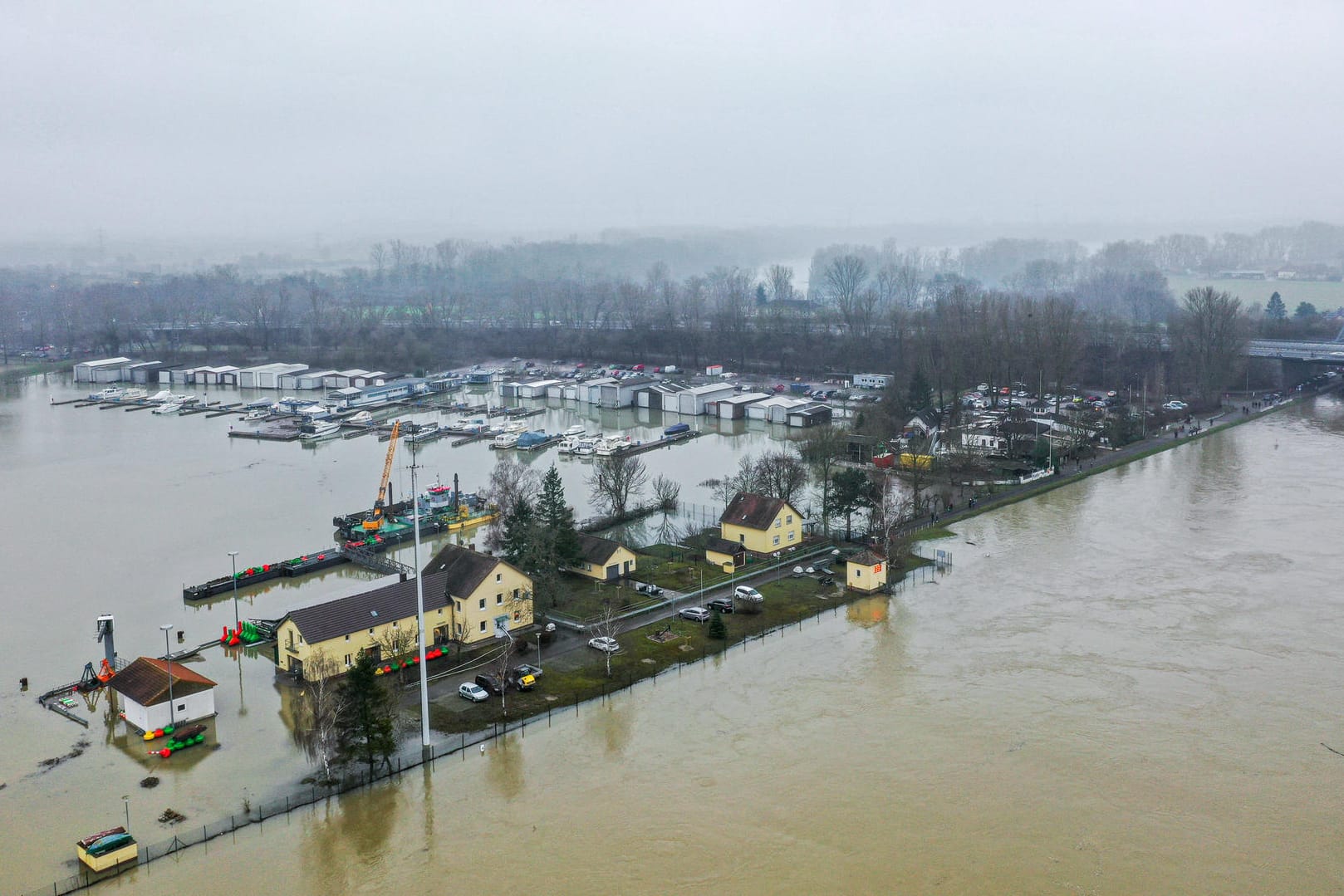 Luftbild vom Hochwasser am Rheinhafen: Bei Karlsruhe mussten Rehe vor den Fluten befreit werden.