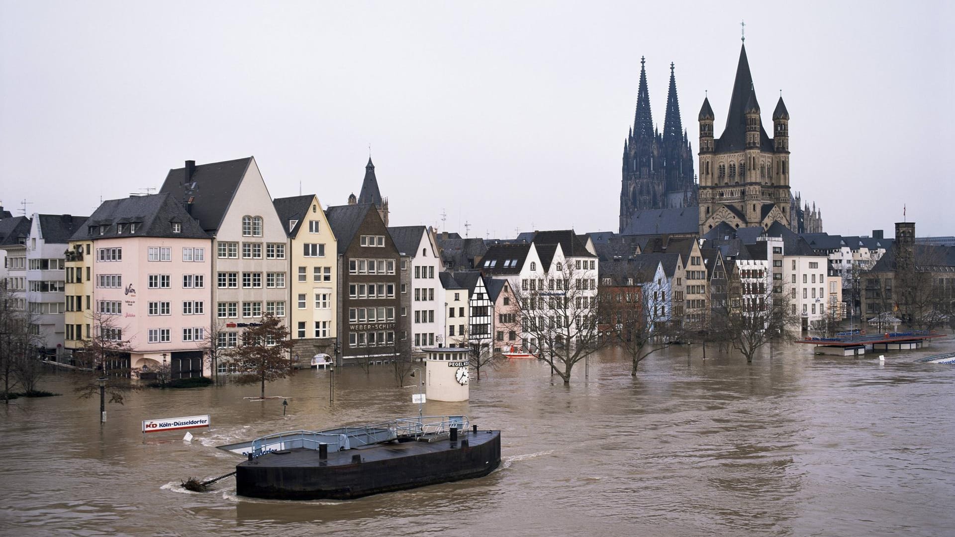 Der Rhein in 1995: In den 90ern gab es gleich zwei Hochwasser, die Köln heimsuchten.