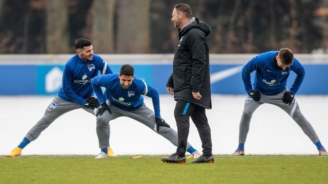 Erfreut sich an Hertha-Neuzugang Sami Khedira (2.