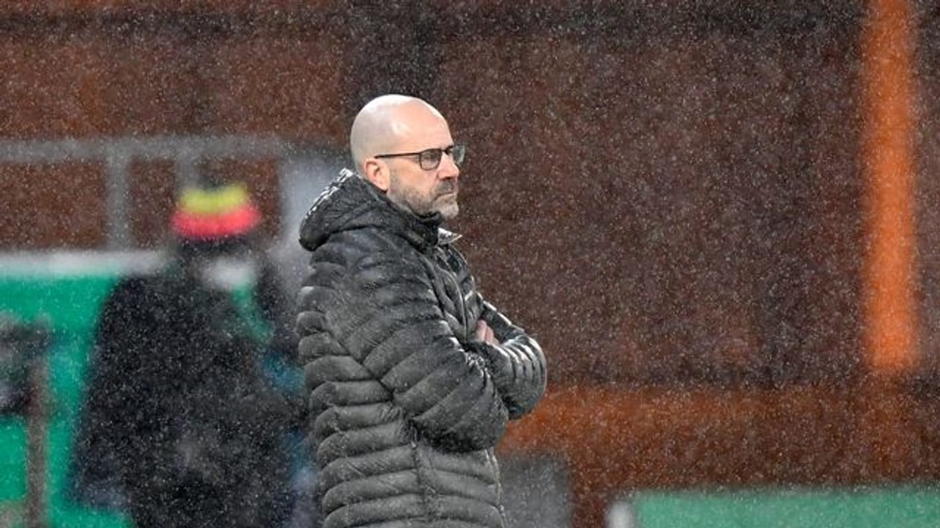 Musste mit Leverkusen in Essen eine bittere Pleite hinnehmen: Bayer-Coach Peter Bosz.