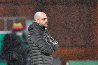 Musste mit Leverkusen in Essen eine bittere Pleite hinnehmen: Bayer-Coach Peter Bosz.