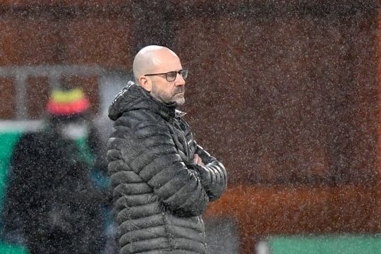 Musste mit Leverkusen in Essen eine bittere Pleite hinnehmen: Bayer-Coach Peter Bosz.