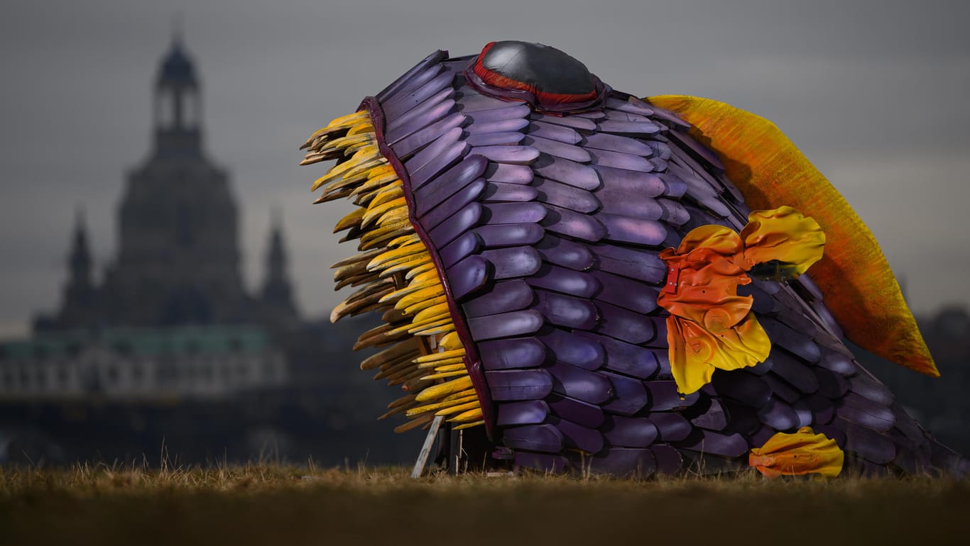 Dresden: Eine Skulptur aus Holz und Stoff in der Form eines Fisches steht am Elbufer vor der historischen Altstadtkulisse mit der Frauenkirche.