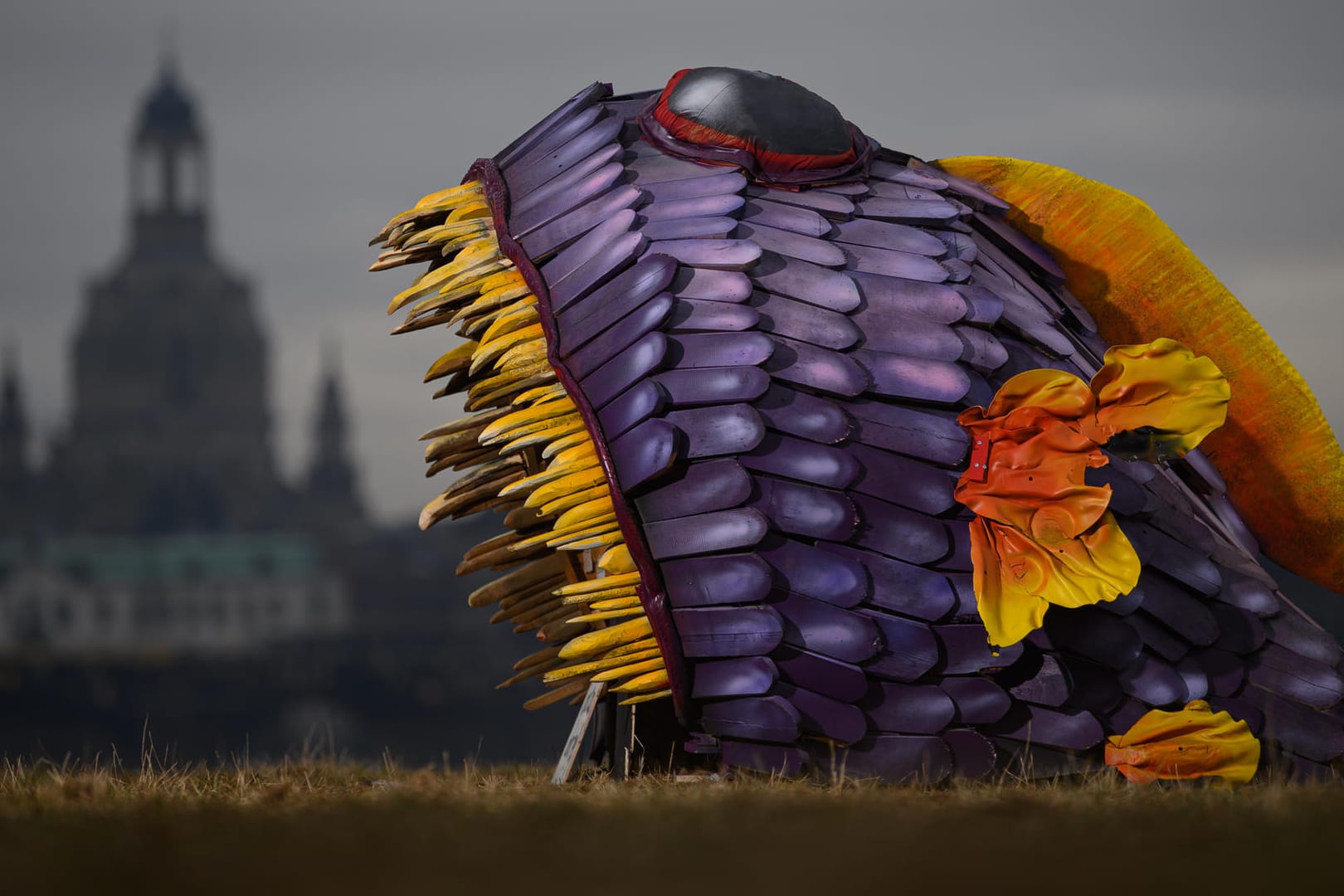 Dresden: Eine Skulptur aus Holz und Stoff in der Form eines Fisches steht am Elbufer vor der historischen Altstadtkulisse mit der Frauenkirche.