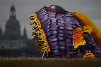 Dresden: Eine Skulptur aus Holz und Stoff in der Form eines Fisches steht am Elbufer vor der historischen Altstadtkulisse mit der Frauenkirche.