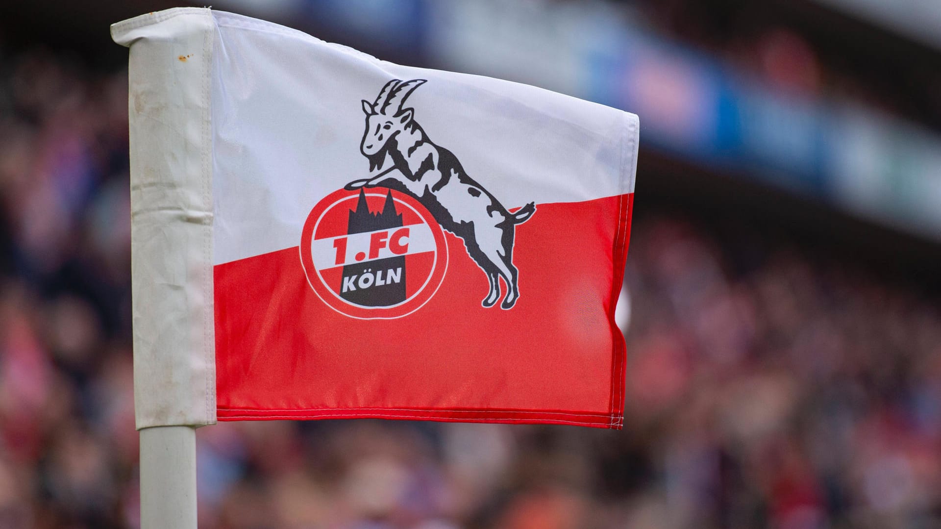 1. FC Köln: Der neue Pressechef soll wohl doch nicht eingestellt werden. 1. FC Köln: Der neue Pressechef soll wohl doch nicht eingestellt werden.