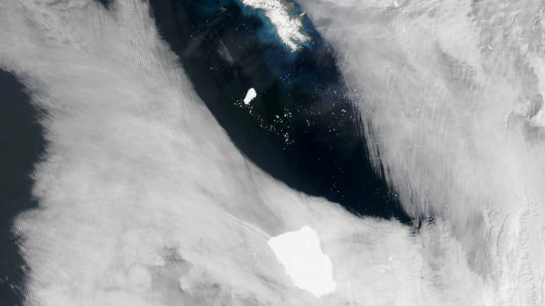 Satellitenbild von Mitte Januar: Der Eisberg A-68A (unten) trieb auf die Insel Südgeorgien (oben) zu, in der Mitte zu sehen ist ein weiteres Bruchstück, genannt A-68D.