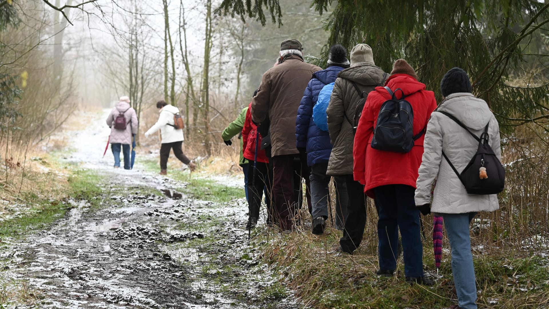 Eine Wandergruppe (Symbolbild): Einen massiver Verstoß gegen die Corona-Schutzverordnung sorgt derzeit für Empörung.