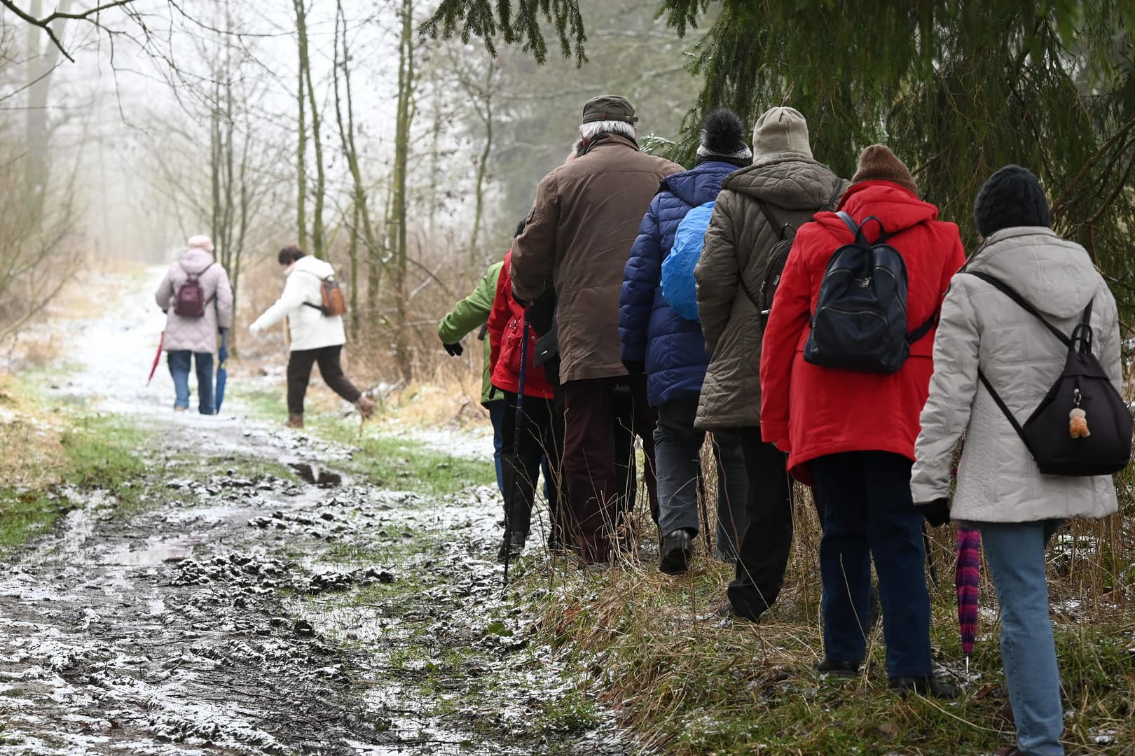 Eine Wandergruppe (Symbolbild): Einen massiver Verstoß gegen die Corona-Schutzverordnung sorgt derzeit für Empörung.