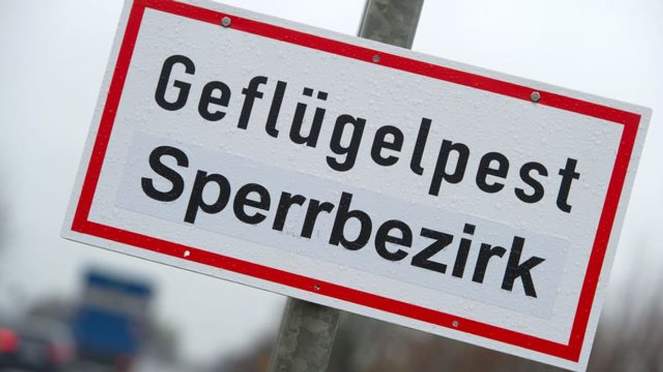 Ein Schild mit der Aufschrift "Geflügelpest Sperrbezirk"