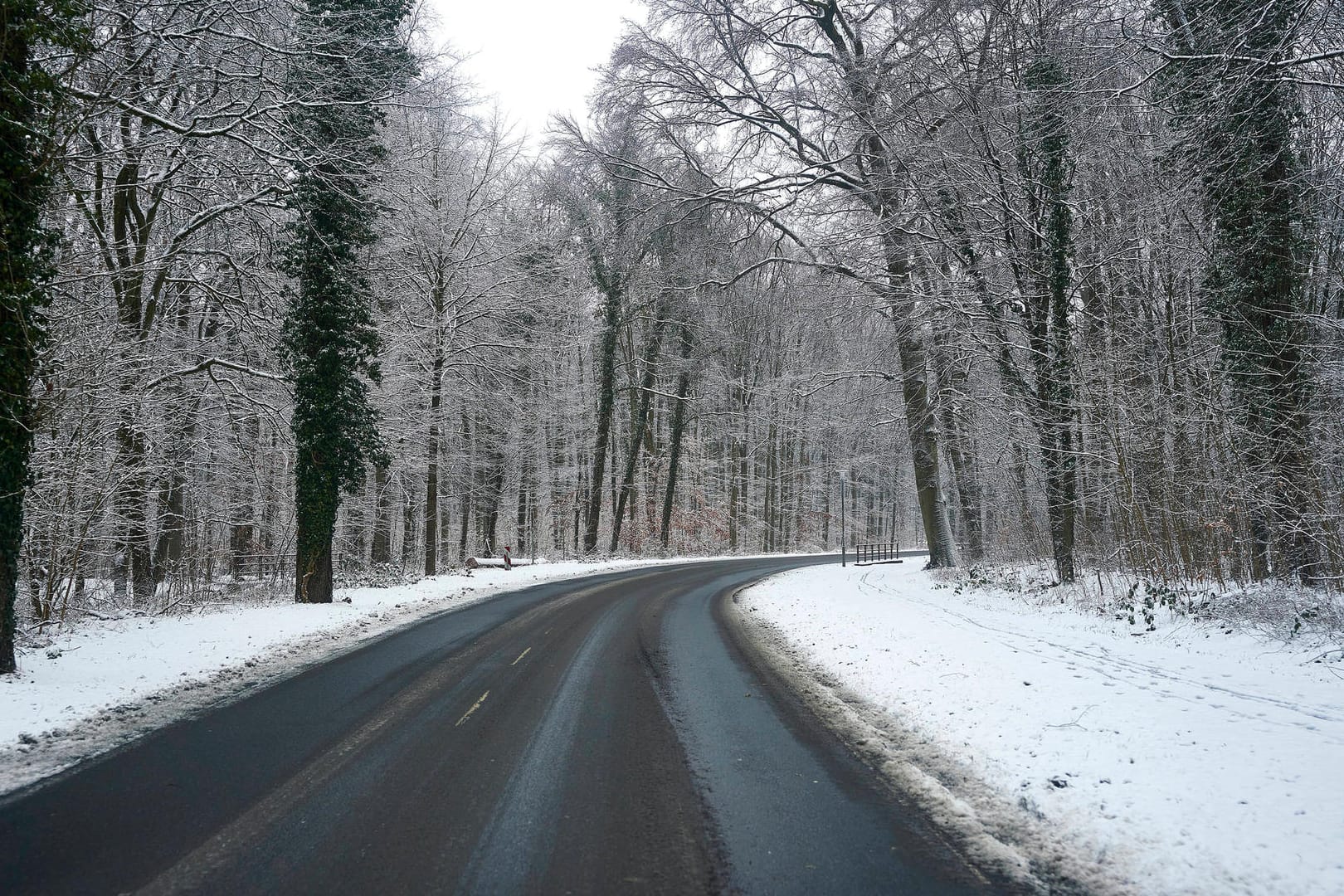 Straße durch einen verschneiten Wald (Symbolbild): Wolfsburg drohen am Wochenende heftige Schneefälle und Glätte.