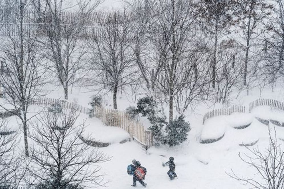 Menschen gehen bei Schneefall Schlittenfahren (Symbolbild): Obwohl Schneestürme für den Norden angesagt waren, müssen Bürger nicht mit viel Schnee rechnen.