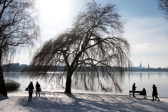 Winter in Hamburg