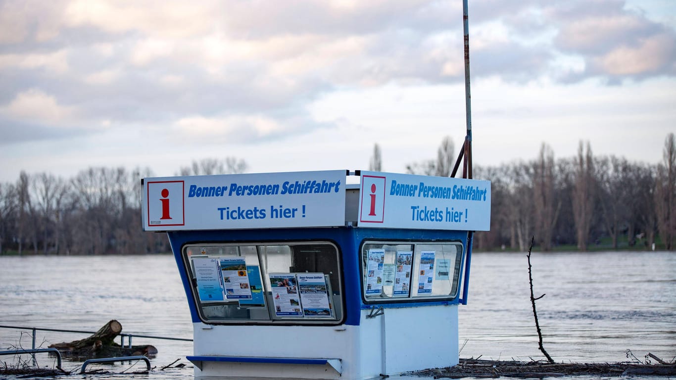 Hochwasser am Rhein: Das Wasser hat einen Pegel von 8,28 Metern erreicht.