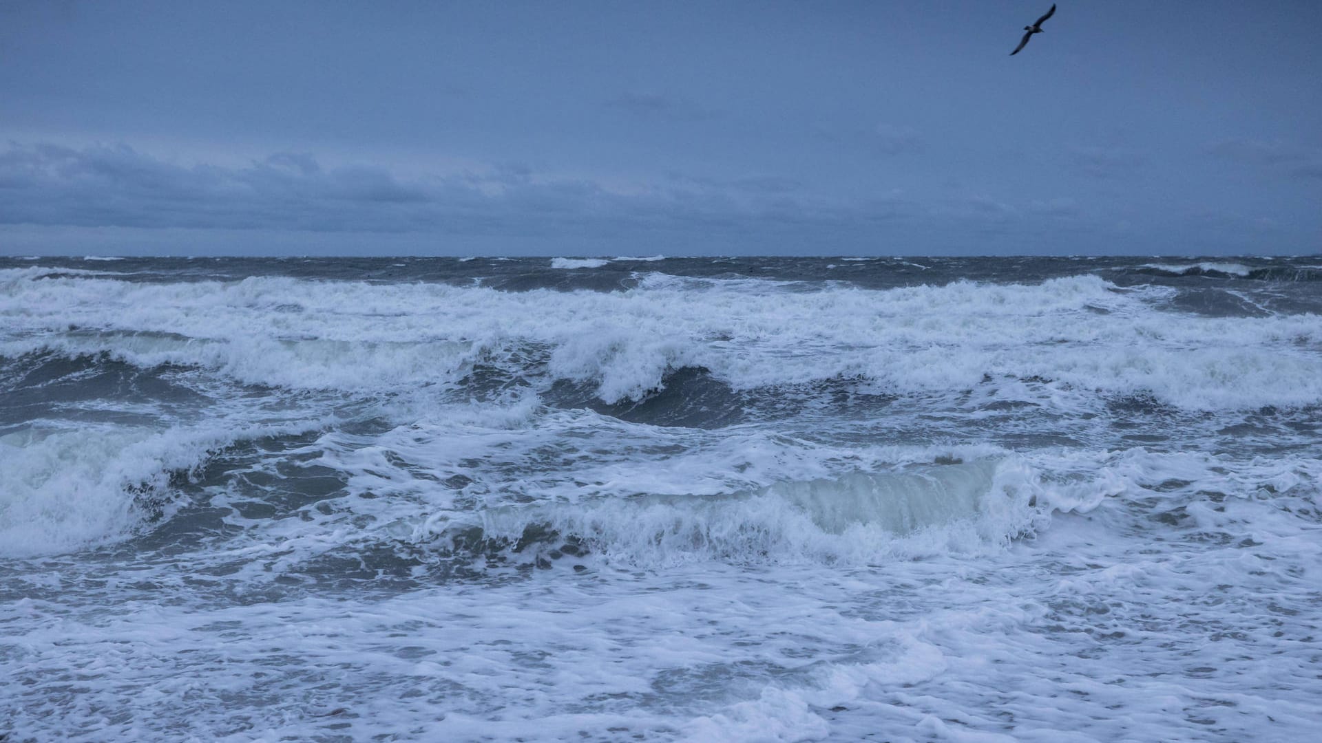 Wintersturm Tristan an der schleswig-holsteinischen Ostseeküste: Ein Frachtschiff liegt derzeit vor Juist und muss gesichert werden. Wintersturm Tristan an der schleswig-holsteinischen Ostseeküste: Ein Frachtschiff liegt derzeit vor Juist und muss gesichert werden.
