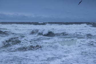 Wintersturm Tristan an der schleswig-holsteinischen Ostseeküste: Ein Frachtschiff liegt derzeit vor Juist und muss gesichert werden.