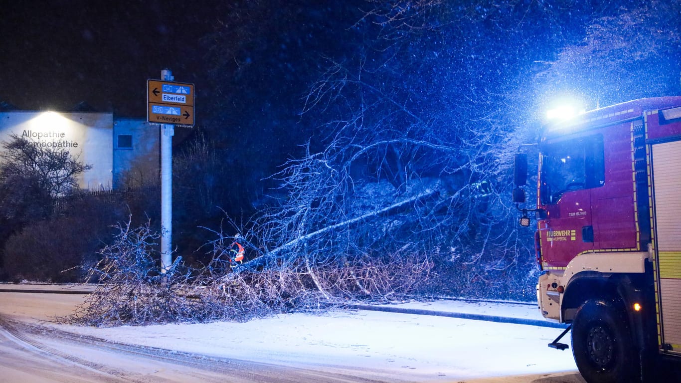 Unwetter bringt Bäume zu Fall Am Westfalenweg brach ein Baum unter dem massiven Gewicht des Eispanzers an den Ästen zus