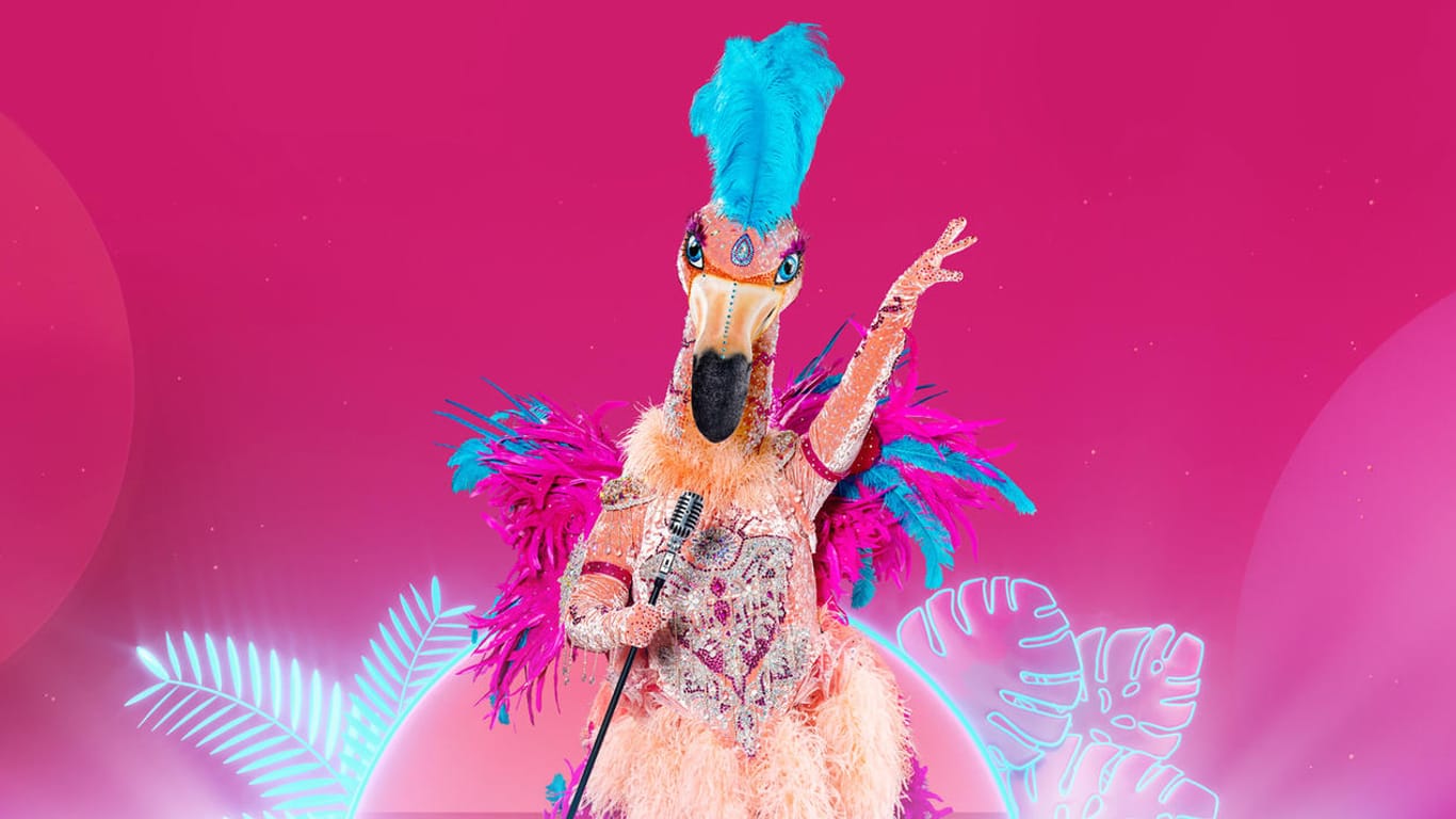 Der Flamingo: Der Paradiesvogel hat das wohl knalligste Kostüm.