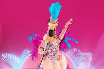 Der Flamingo: Der Paradiesvogel hat das wohl knalligste Kostüm.