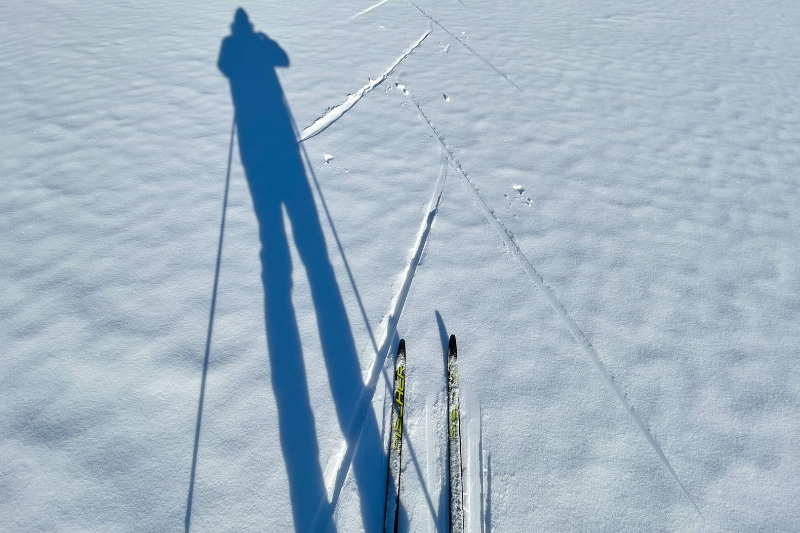 Schatten eines Ski-Langläufers (Symbolbild): Im Wolfsburger Stadtwald wurden extra Loipen für Wintersportler gezogen.