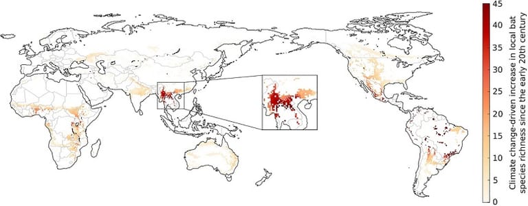 Die Grafik zeigt die geschätzte Zunahme von Fledermausarten in bestimmten Gebieten aufgrund von Verschiebungen ihrer Habitate durch Klimaveränderungen seit 1901. Der vergrößerte Bereich stellt das wahrscheinliche Verbreitungsgebiet des von Fledermäusen übertragenen Erregers von SARS-CoV-2 dar.